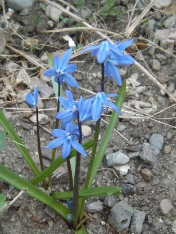  photo 4-13-14023_zps6716bf8f.jpg